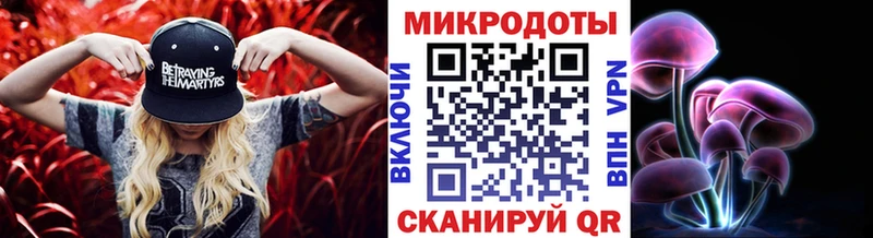 Псилоцибиновые грибы мухоморы Курчатов