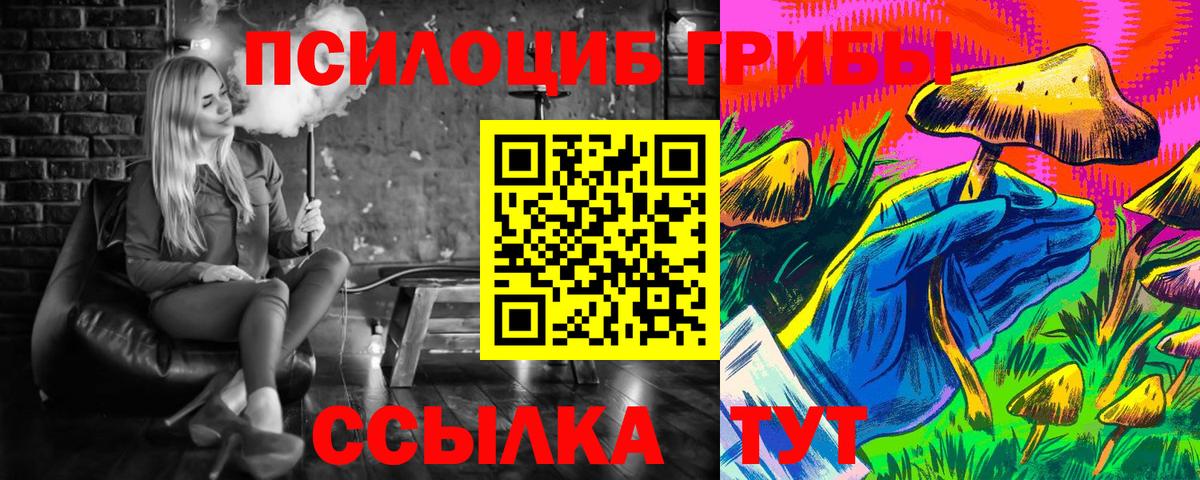 Галлюциногенные грибы Psilocybine cubensis Курчатов