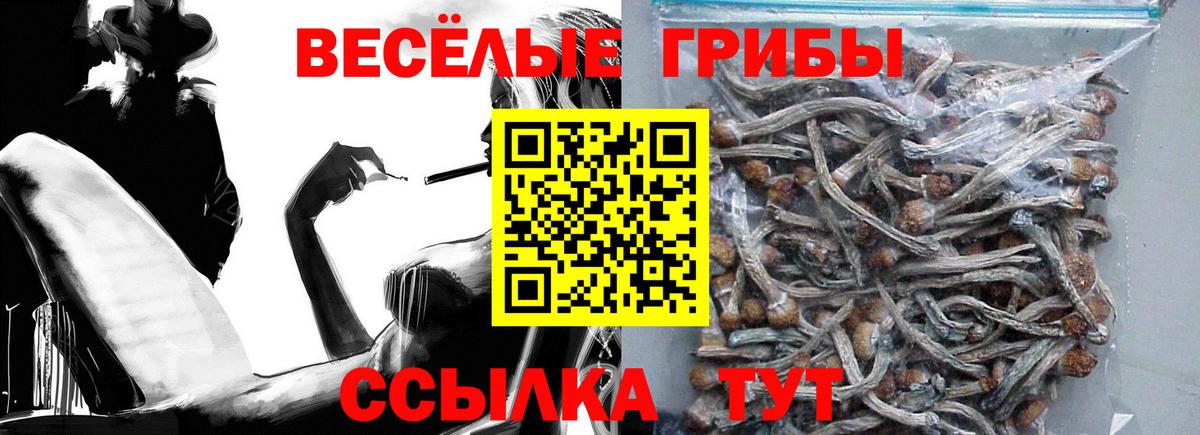 Галлюциногенные грибы Cubensis  Вход с VPN  Курчатов 