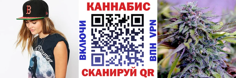 как найти наркотики  Курчатов  ОМГ ОМГ ССЫЛКА  Конопля конопля 